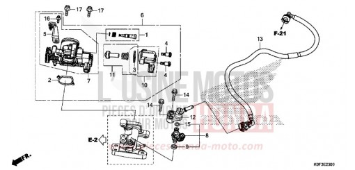 CORPS DE PAPILLON Z125MAK de 2019